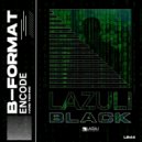B-Format - 110010100(404) ()