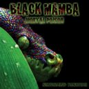 Black Mamba - Cosmic Trip (Original Mix)
