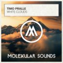 Timo Pralle - White Clouds (Extended Mix)