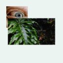 Wwiidobe - The Claim ()