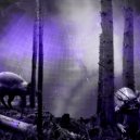 N61 - Forest ()