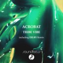 Acrobat - Tribe Vibe (Dilby Remix extended)