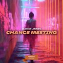 Aleksey Litunov - Chance Meeting (Original Mix)