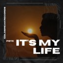pøte - it\'s my life ()