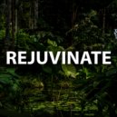 Kasszidy - Rejuvinate ()