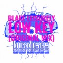 Blake Leisurely - Low Key (Original Mix)