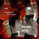 Brendan James - Crazy (Original Mix)