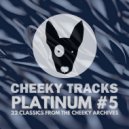 Big D vs Harry Hard - Into The Night (Charlie\'s Piano 99 Remix)