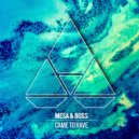 Mesa & Boss - Came To Rave