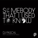 DJ Pascal ft Gadless & Kit Kido - Somebody That I Used to Know (Holy Deep Instrumental)