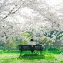 Mary - Garden\'s Serenity ()