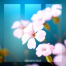 Daniel Portman - Compliance