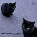 Boringroom & Temnikov - Charlie (Temnikov Remix)