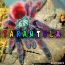 WhaleShark - Tarantula