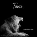 Temporary Hero - Tame (RF DnB Remix)