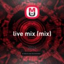 PVS - live mix