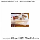 Sleep BGM Mindfulness - Moonlit Night for Tranquility