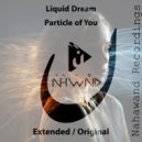 Liquid Dream - Particle of you (Extended Mix)