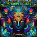 Acid Lizard & Beurat - Spaceship (Original Mix)