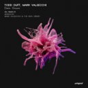 Todd Duff & Mark Valsecchi & Mark Valsecchi & The New Order - Damn Groove (Mark Valsecchi & The New Order Remix)