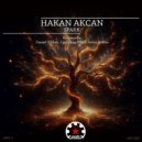 Hakan Akcan - Spark