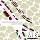 Aspen Bizarre Disco - Night Ride (Original Mix)