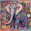Tamer ElDerini - Polye (Original Mix)