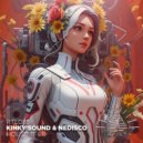 Kinky Sound, Nedisco - Alcamos (Original Mix)