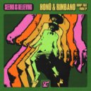 HONÜ & Rimbano - Got Funk? (Original Mix)