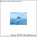 Sleep BGM Mindfulness - Lullabies from the Heart with Nature\'s Soothing Lullaby for Sleep (Original Mix)