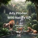 Ady Prodan - Ok You (Original Mix)
