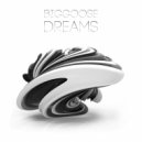 Biggoose - Dreams (Original Mix)