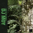 DJ Moy - Party In The Jungle (Original Mix)