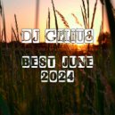 DJ GELIUS - Best June 2024
