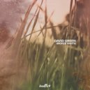 David Green - Bronze Mantis (Extended Mix)