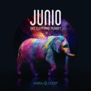 Junio - Sky Elephant Planet