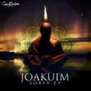 Joakuim - Synth Soundscape
