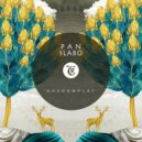 SLABO, P A N, Tibetania - Shadowplay (Original Mix)