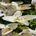 Madame M - Music