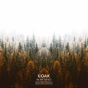UOAK - In My Mind