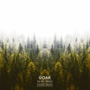 UOAK - In My Mind