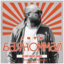 Тото - Баяноммай (DJ ART AGENT RADIO EDIT)