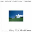 Sleep BGM Mindfulness - Serenade of Mental Health in the Soundscapes of Night\'s Tranquility (Original Mix)