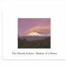 The Ghostly Echoes - Ice Crystals