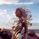 Nihil Young, Artifex Mundi - What Do We Know (Original Mix)