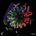 Proxxy (BR) - Infectus (Original Mix)