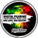 Digital Pilgrimz FT Raz Lee - One Love, One Destiny