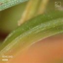 Remcord - Colombian Gold (Original Mix)