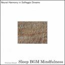 Sleep BGM Mindfulness - The Serenade of Neural Synchronization (Original Mix)