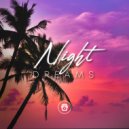 Lofi Sleep Chill & Study - King (Original Mix)